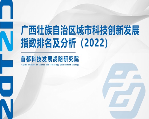 操逼网电影【成果发布】广西壮族自治区城市科技创新发展指数排名及分析（2022）